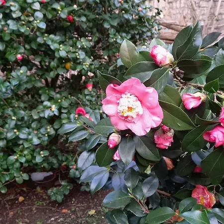 L'antica Dimora Meta