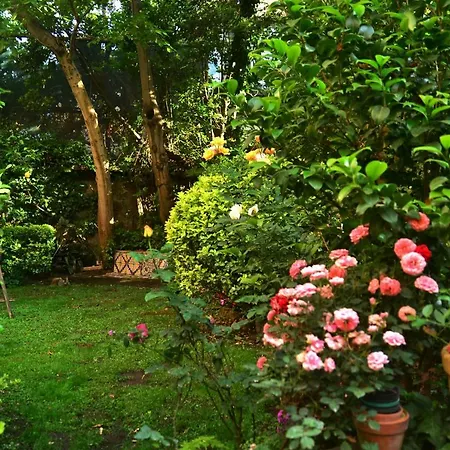 Σπίτι διακοπών L'antica Dimora Meta