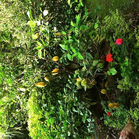 Σπίτι διακοπών L'antica Dimora *